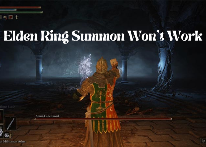 Elden Ring Summon Won’t Work