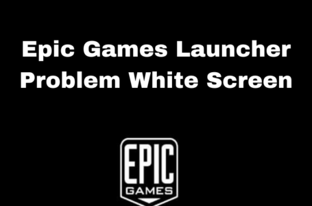 Epic Games Launcher Problem White Screen