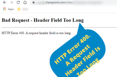 HTTP Error 400. A Request Header Field Is Too Long