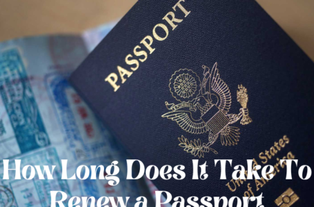 How Long Does It Take To Renew a Passport