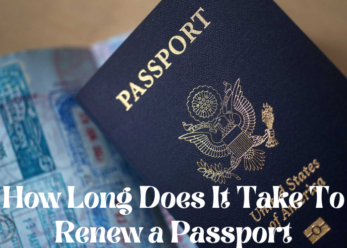 How Long Does It Take To Renew a Passport Demon Slayer Movie