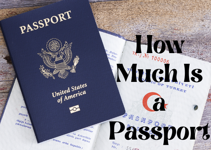 How much is a passport