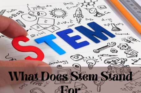 What Does Stem Stand For