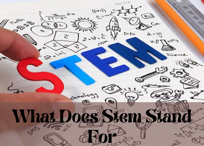 What does stem stand for