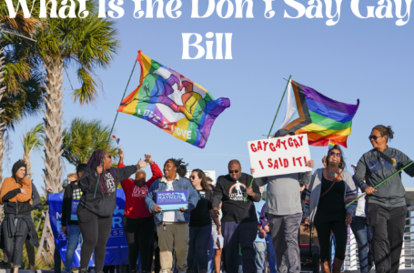 What Is the Don’t Say Gay Bill