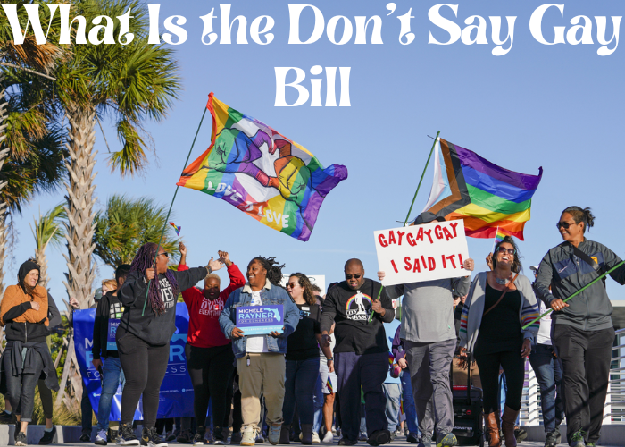 What is the don't say gay bill