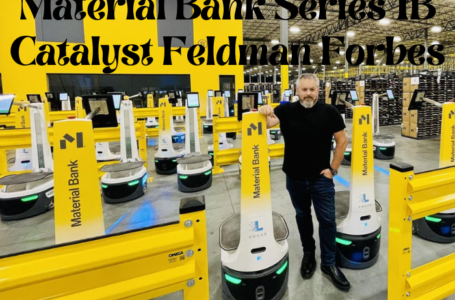Material Bank Series 1B Catalystfeldmanforbes