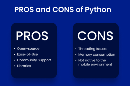 Online Python Course: Pros and Cons