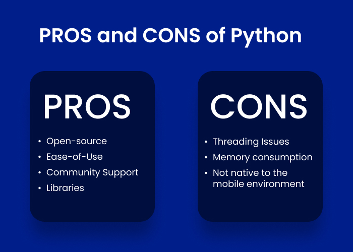 Online Python Course: Pros and Cons