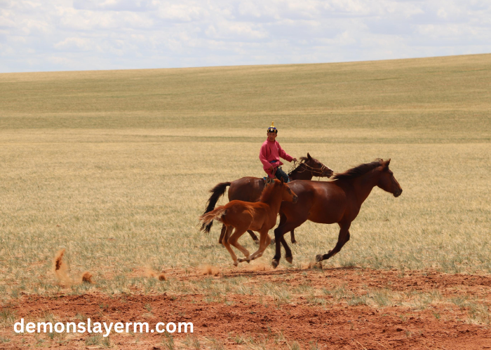 History of Horses